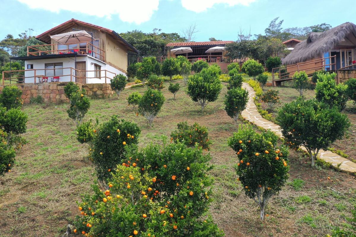 A hillside property with multiple buildings, including a large house with a balcony and a smaller structure with a thatched roof. There are numerous orange trees scattered across the landscape.