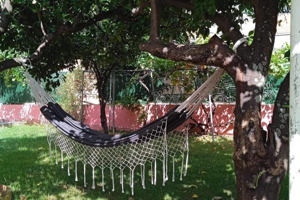 Hammock in the garden