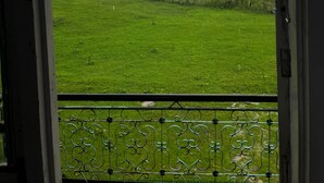 Terrace/patio - hotel cozy (Pahalgam)