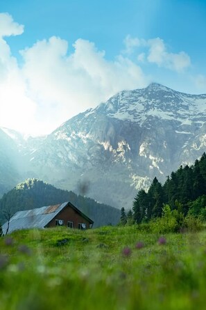 Front of property - hotel cozy (Pahalgam)