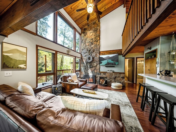 Smart TV, fireplace, DVD player, books
