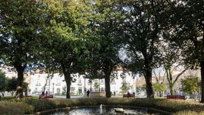 Uklassifisert bilde, 3 av 40, knapp
