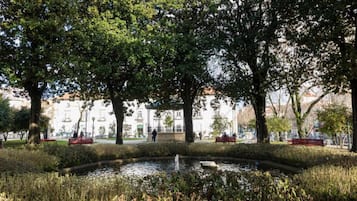 Vista desde la propiedad