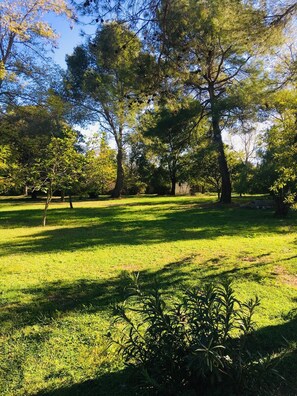 Terrain de l’hébergement 