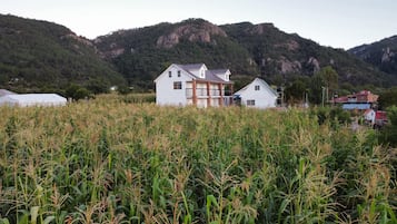 Aussenbereich