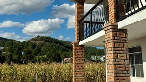 A house with a brick facade, a balcony with black railings, and a cornfield in the background.