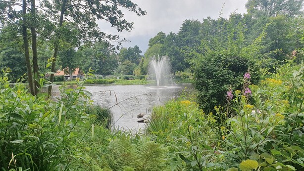 A serene park with a fountain, lush greenery, and a pond. - Hexenquartier apartment in a central location in Braunlage (Braunlage)