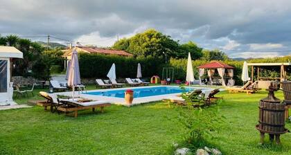 The Mansion of Dionisos and Dimitras 5