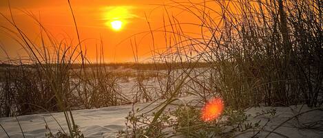 Liegestühle, Strandtücher