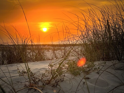 Beachfront 3-bedroom house in peaceful Biloxi with AC, WiFi. Enjoy relaxation