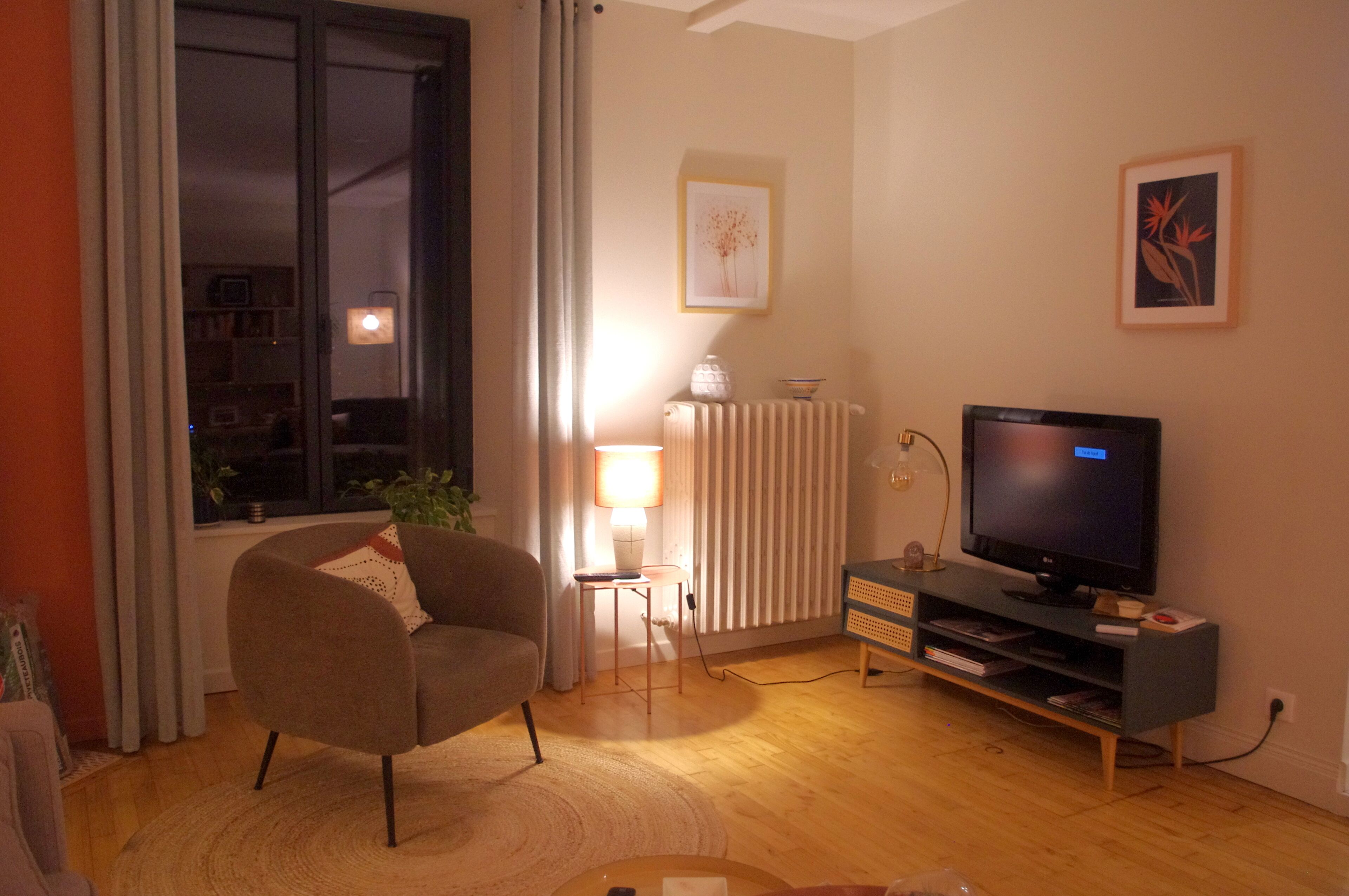 TV connectée, cheminée, livres
