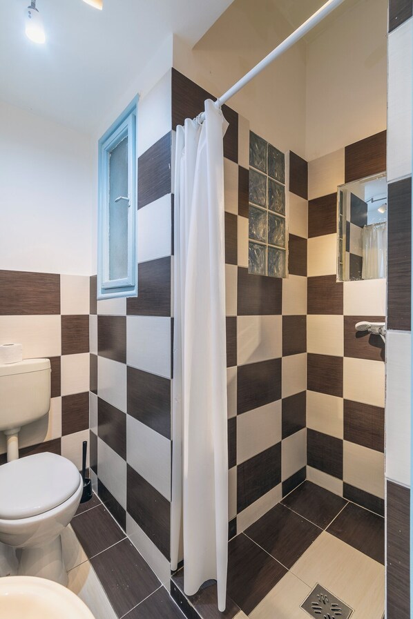 Shower, hair dryer, towels, toilet paper