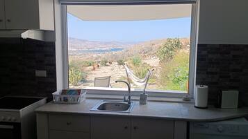 Fridge, microwave, oven, coffee/tea maker