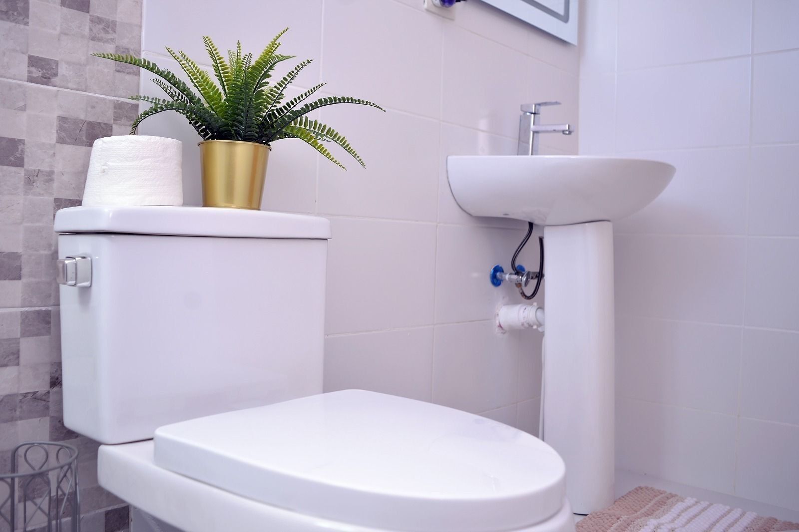 Een wit toilet met een vergulde plantenbak waarin een varen staat, een wit wastafel met een kraan, en een betegelde muur.