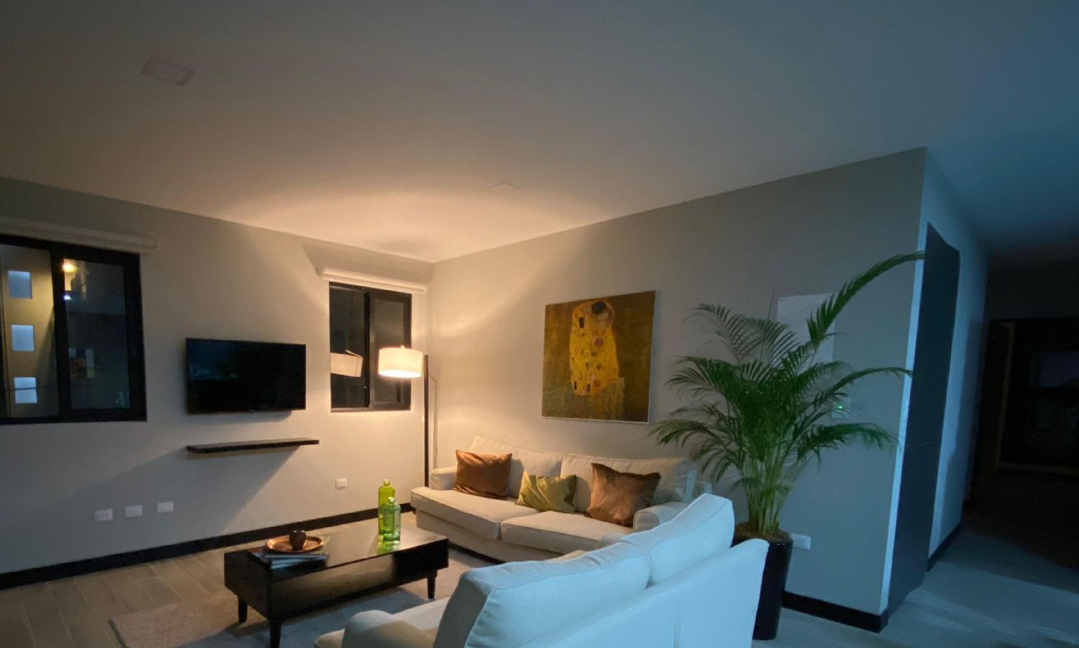Een moderne woonkamer met een bank, een salontafel, een televisie, een schilderij en een potplant.