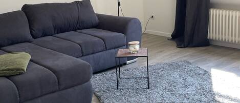 Smart TV, video games, computer monitors