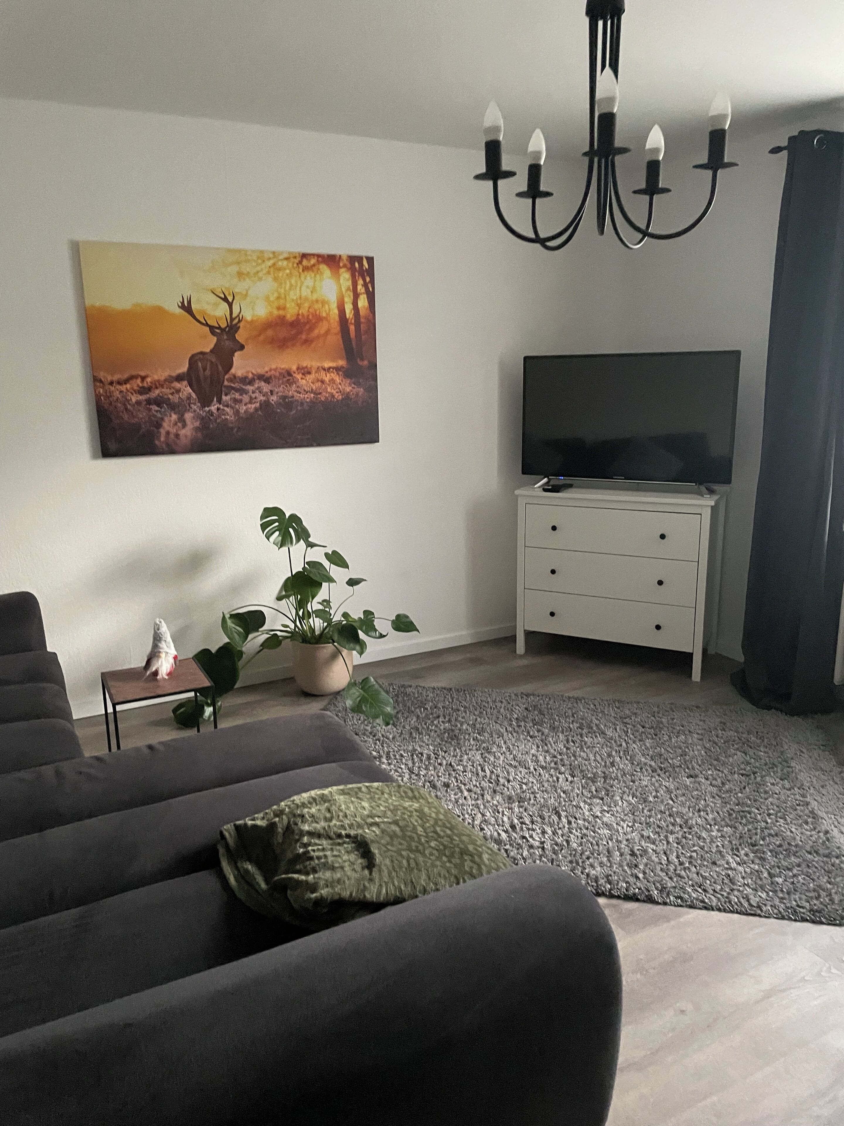 Smart-TV, Videospiele, Computerbildschirme