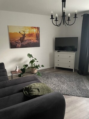 Smart TV, video games, computer monitors