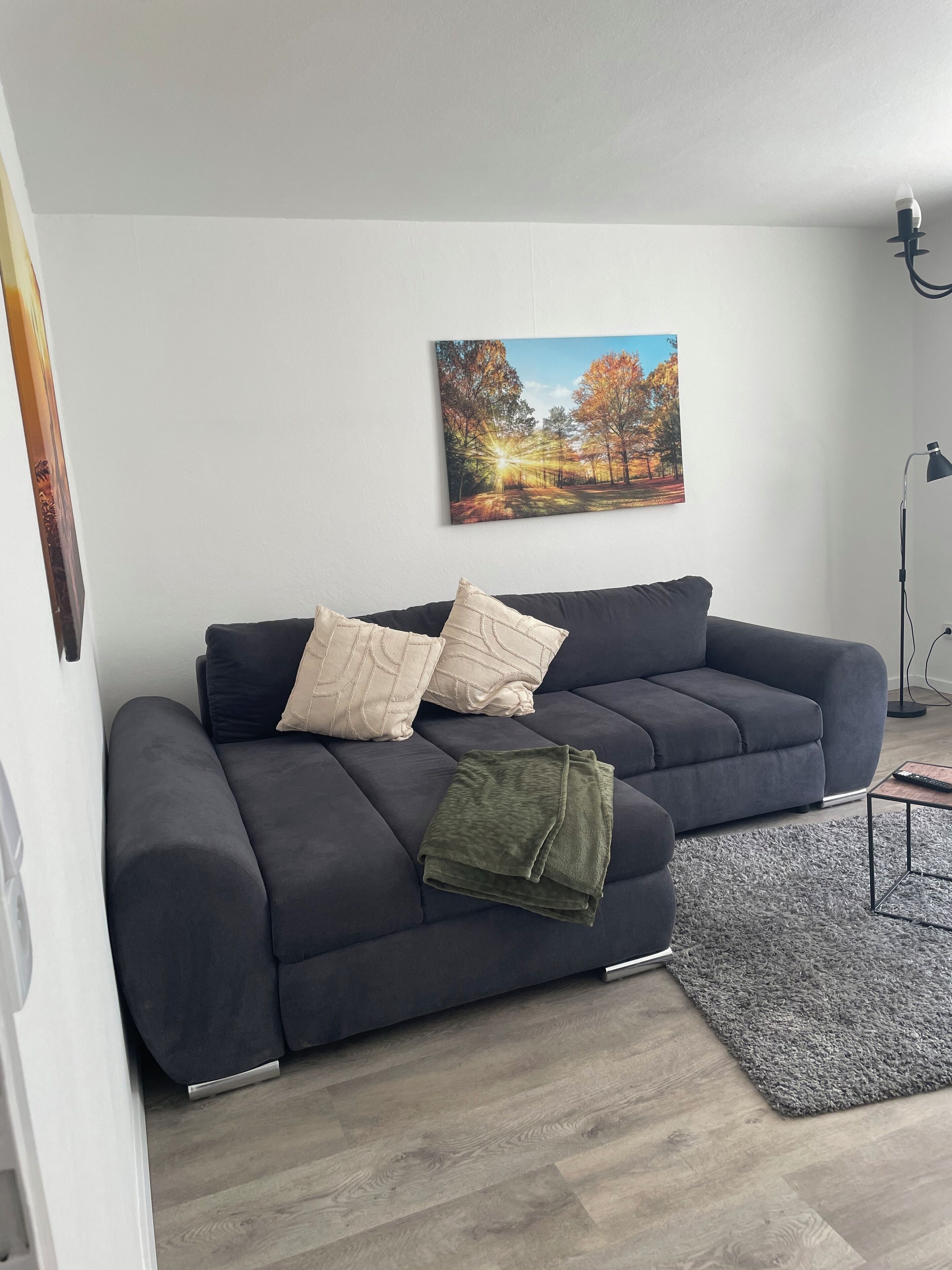 Smart-TV, videospill og PC-skjermer