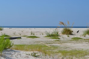 Beach nearby, sun loungers, beach towels