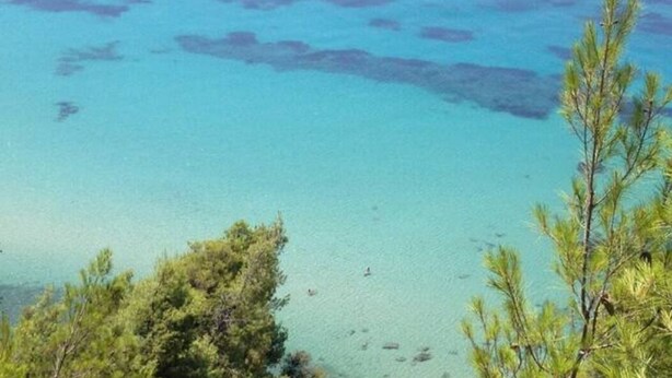 Une vue sur la c ôte, avec une eau turquoise limpide et une végétation luxuriante.