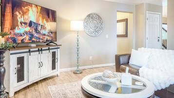 智能电视、壁炉、DVD 播放器