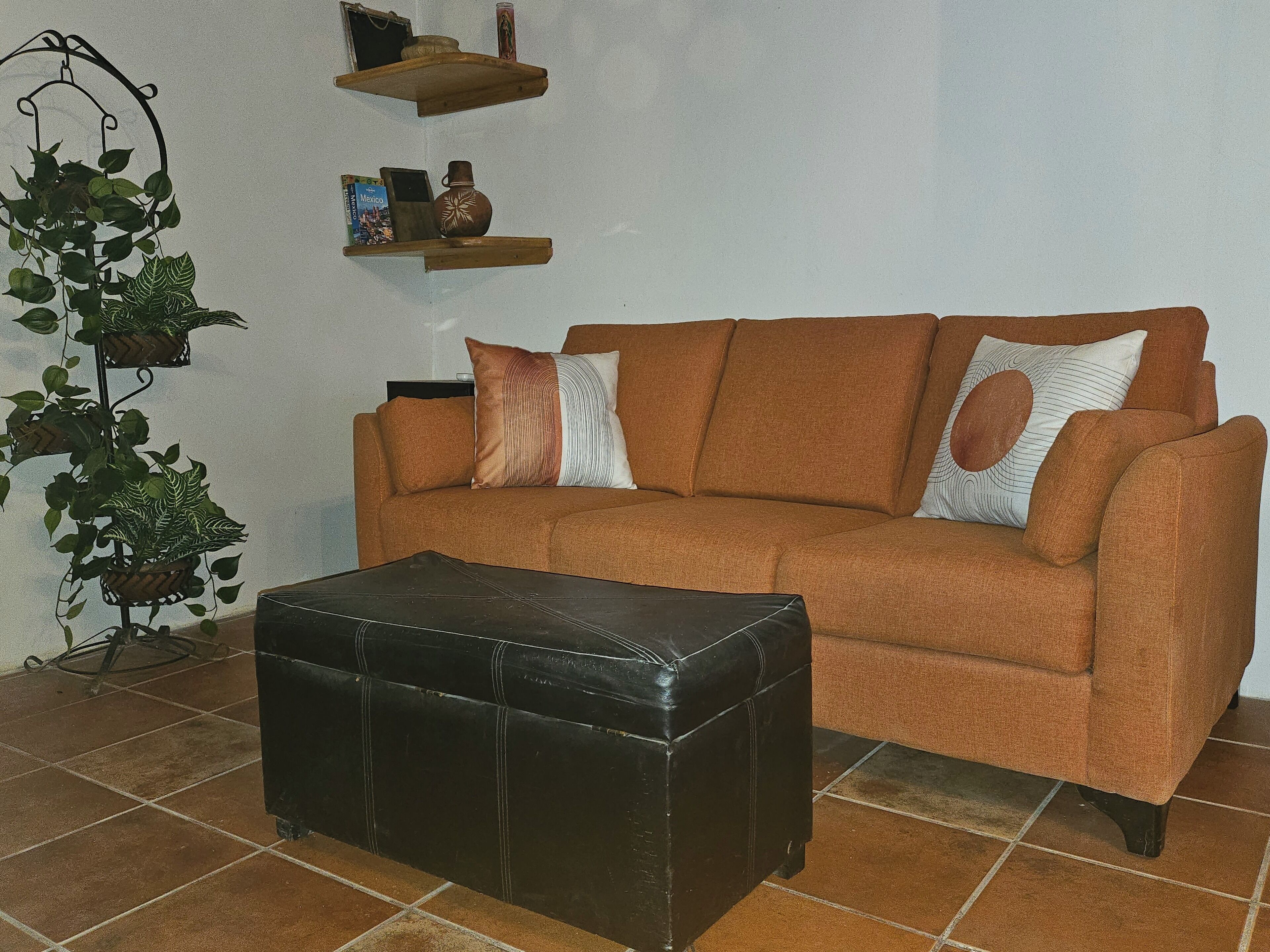 A living room with a brown sofa, two pillows, a black ottoman, a plant, and two shelves with decorative items.