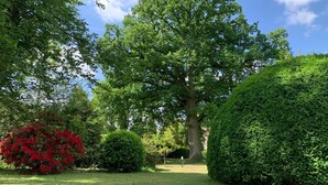A well-maintained garden with a large tree, neatly trimmed bushes, and a clear sky. - Timeless Villa with Grand Garden near Brussels (Overijse)