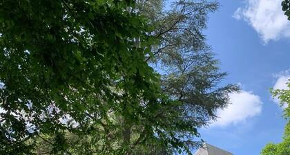 Timeless Villa with Grand Garden near Brussels