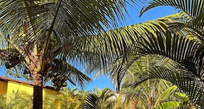 Pousada Recanto do Norte