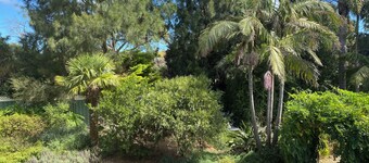 Tropical oasis/pet friendly. Golf, hot springs, beach nearby. Large games room.