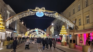 Escena festiva en la calle con árboles de Navidad iluminados y decoraciones.