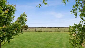 A grassy field with a fence and trees in the foreground.