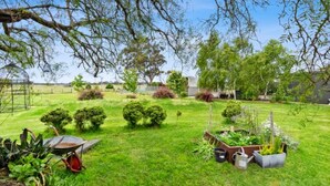 Un jardin bien entretenu, avec différentes espèces de plantes et une brouette.