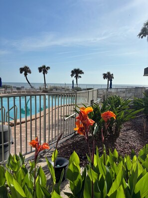Piscine extérieure, piscine chauffée