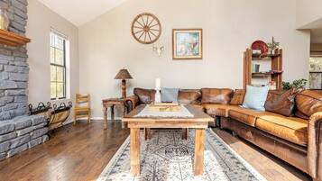 TV connectée, cheminée, lecteur de DVD, livres