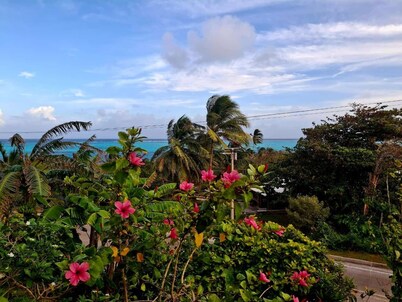 Halley View Summer House( ideal para Familias)