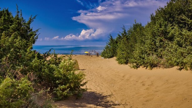 Ein sandiger Strand mit üppiger, grüner Vegetation an beiden Seiten, der zum Meer hinabführt.
