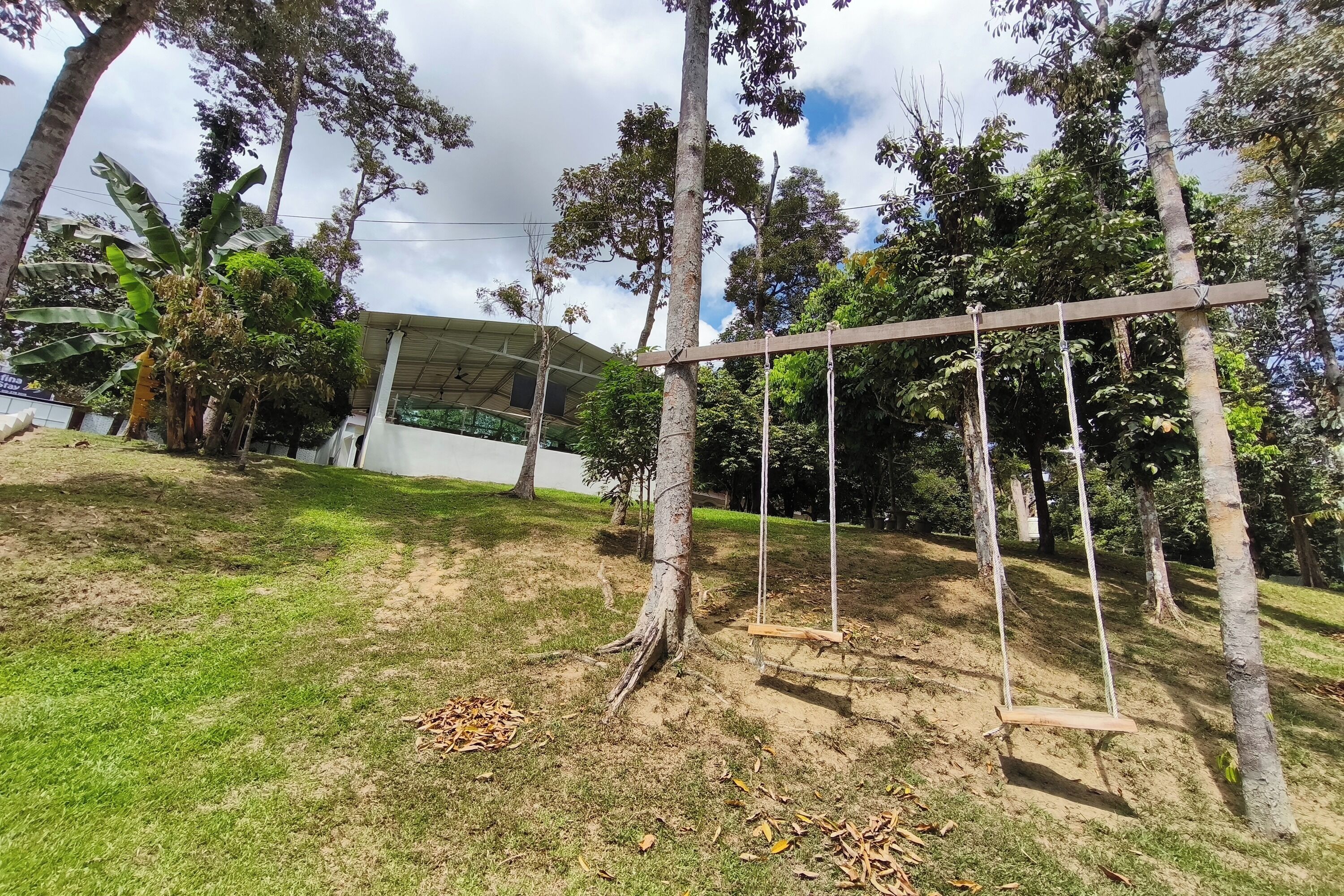 Taman