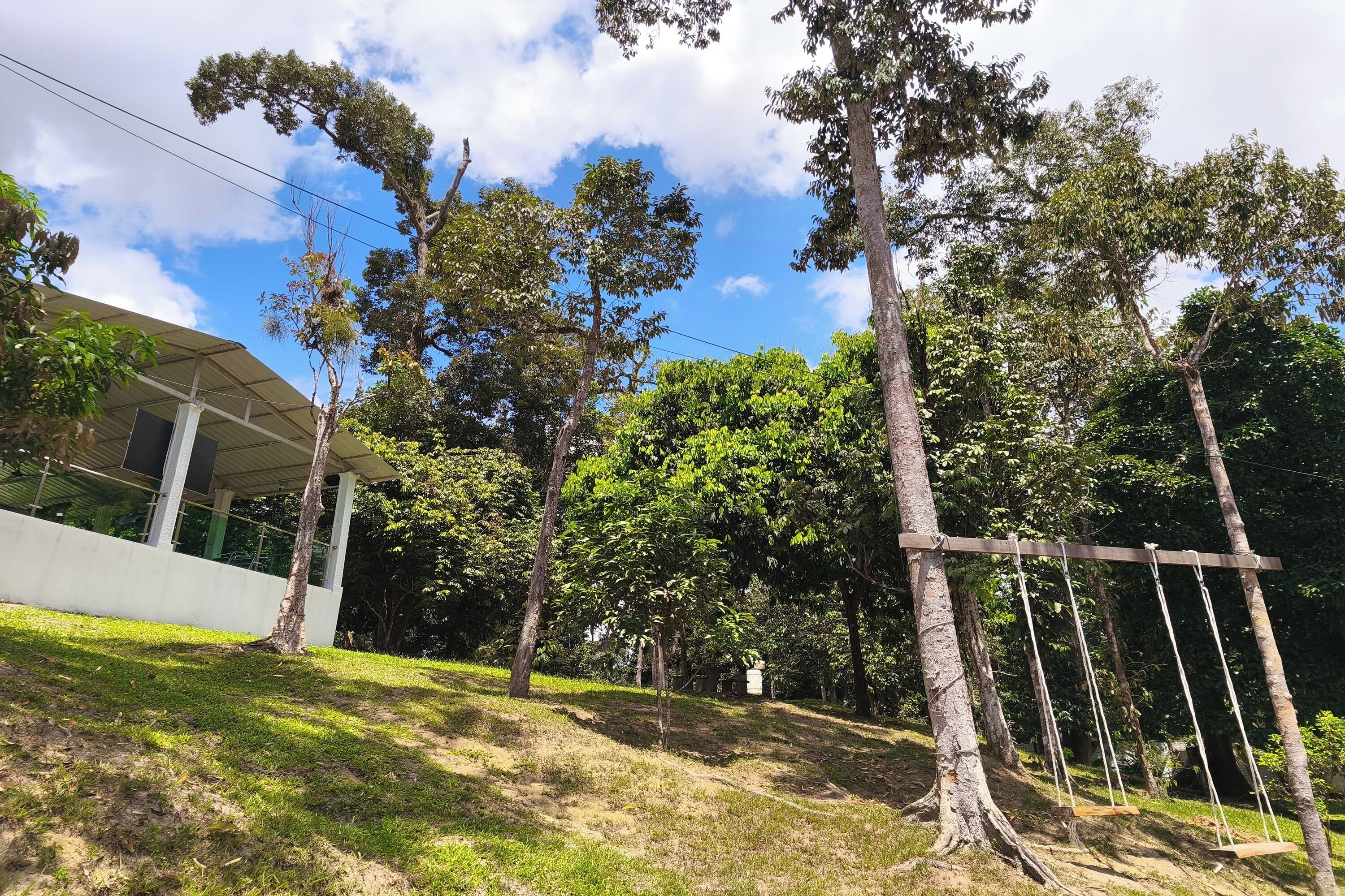 A grassy area with a swing set, trees, and a building with a white facade.
