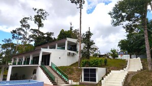 Ein modernes Haus mit Schwimmbad, einer Treppe und einem großen Baum im Hintergrund.