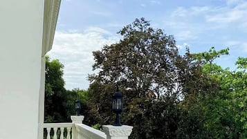 Family Room | View from room