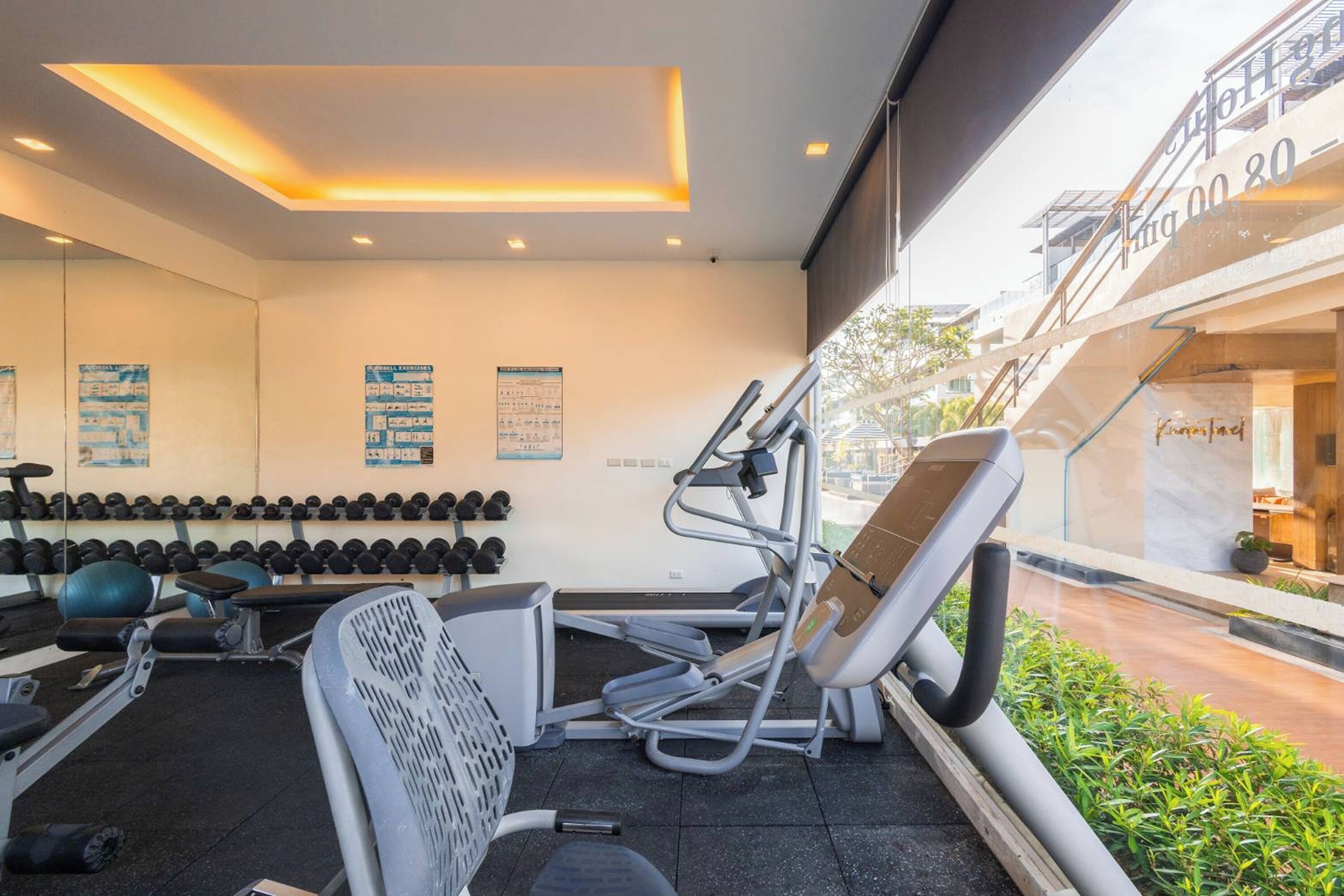 A gym with treadmills, dumbbells, and exercise equipment.