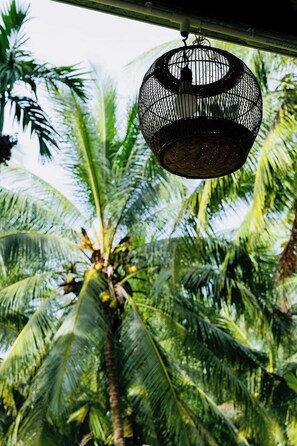 Exterior - Baan Nai Bang (Surat Thani)