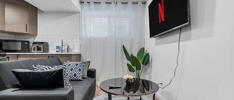 Smart TV, computer monitors