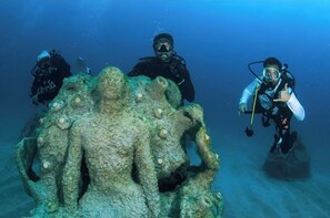 Divers