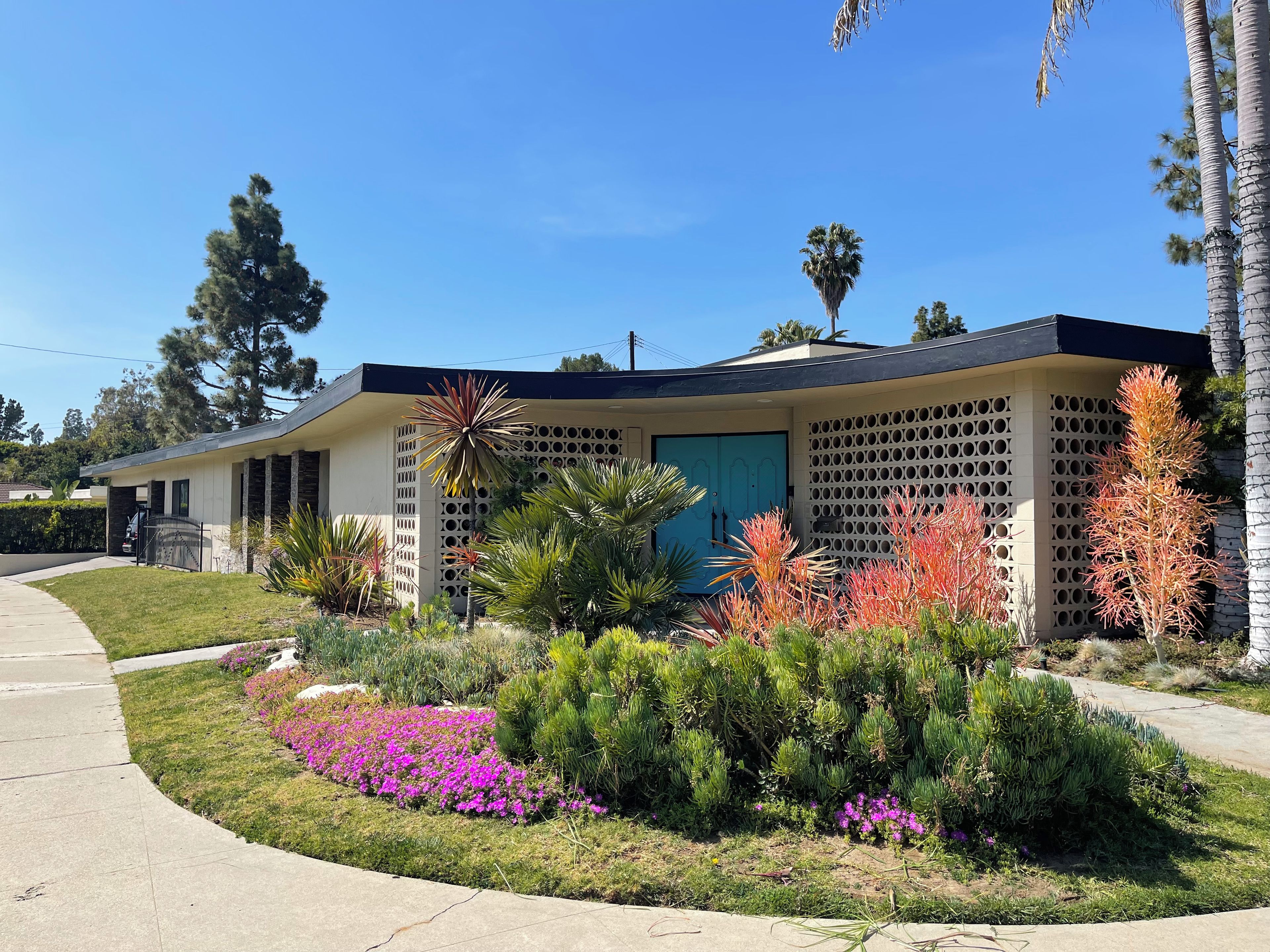A modern house with a blue door, surrounded by a well-maintained garden with various plants and flowers.