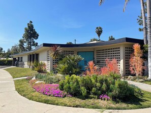 A modern house with a blue door, surrounded by a well-maintained garden with various plants and flowers.