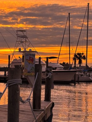 Marina