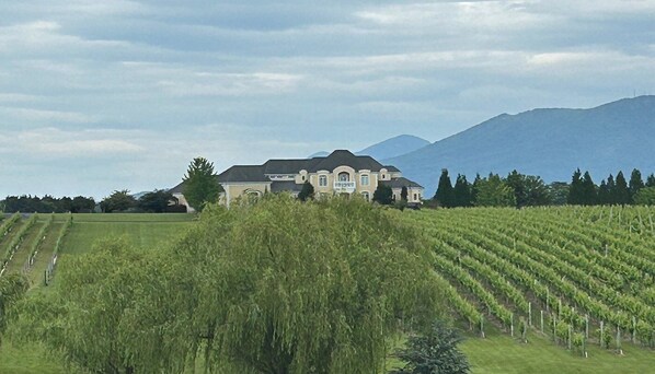 A large building with a symmetrical facade, surrounded by lush green fields and a mountain in the background.